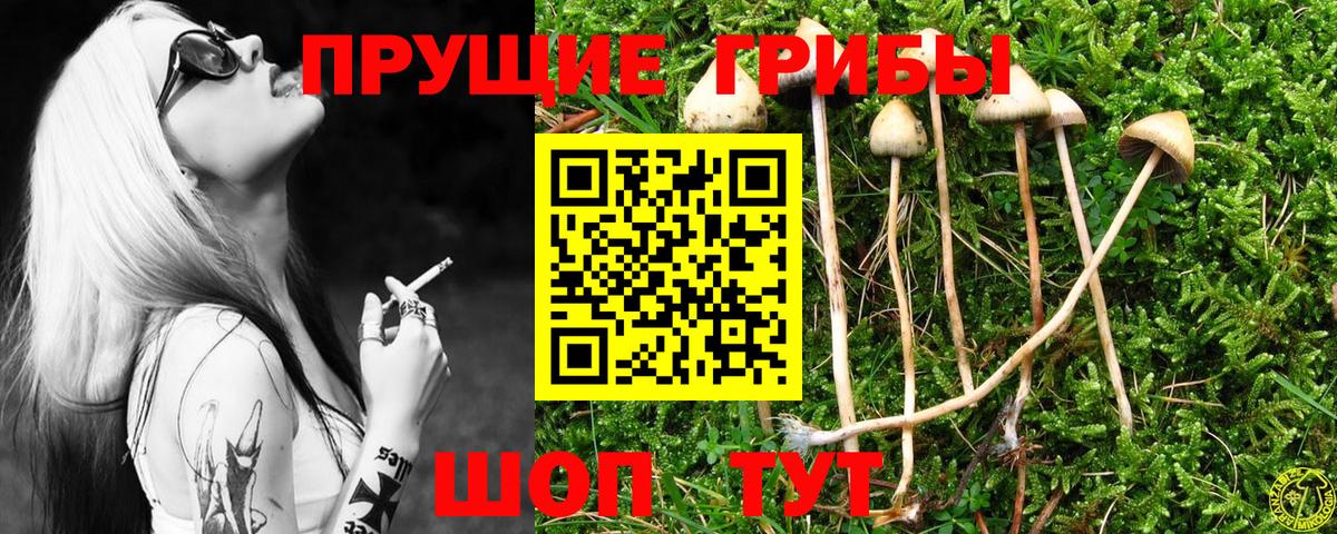 Галлюциногенные грибы мицелий  как найти   Псилоцибиновые грибы Magic Shrooms  Мурманск  Вход с VPN 